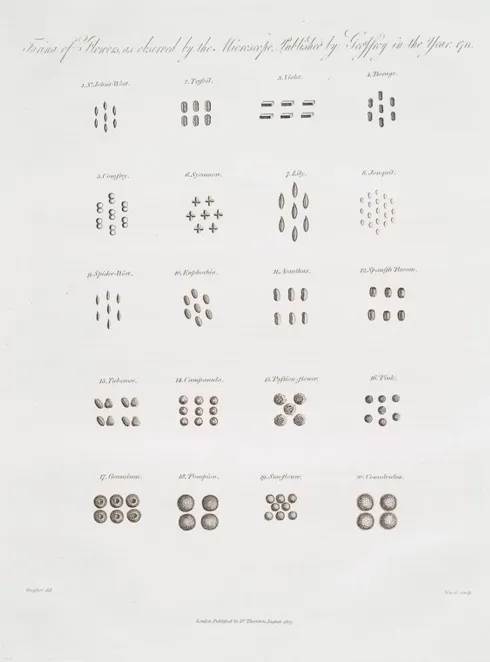 A page from an old book showing a taxonomy of different kinds of seeds.