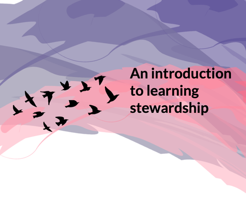 Some black birds on a flat pastel background flying towards some text: "an introduction to learning stewardship".