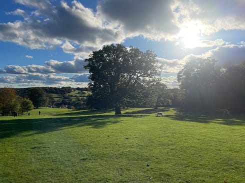 A large tree, a green field, and a beautiful shining sun in a cloudy sky. It's Yorkshire Sculpture Park.