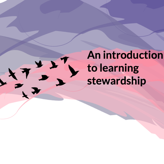 Some black birds on a flat pastel background flying towards some text: "an introduction to learning stewardship".