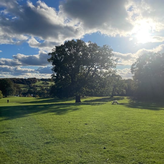 A large tree, a green field, and a beautiful shining sun in a cloudy sky. It's Yorkshire Sculpture Park.